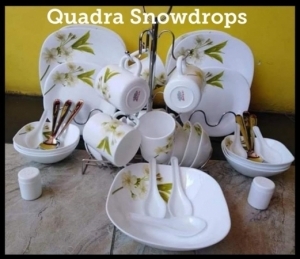 Snowdrops Quadra Square Dinner set 39+6pc Spoons free