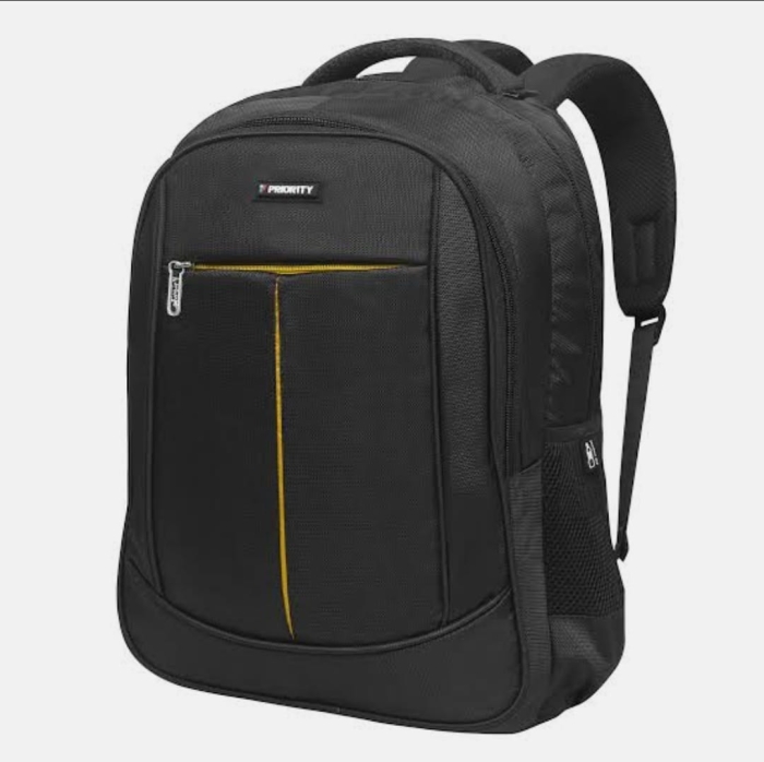 Big laptop/School Back Pack