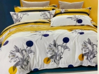 Duvet Cover 6 by 6 with 1 bedsheet and 4 pillow cases
