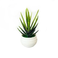 Generic Simulation Potted Plant Artificial Perfect Plastic Display-