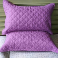 Buy New Flannel Waterproof pillow protector 2SET [purple]