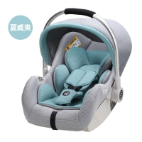 Buy This Amazing Portable Carseat