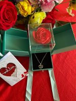 RII-2UGe I LOVE YOU IN 100 LANGUAGES NECKLACE